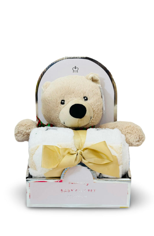 Teddy Bear Plush Toy With Blanket