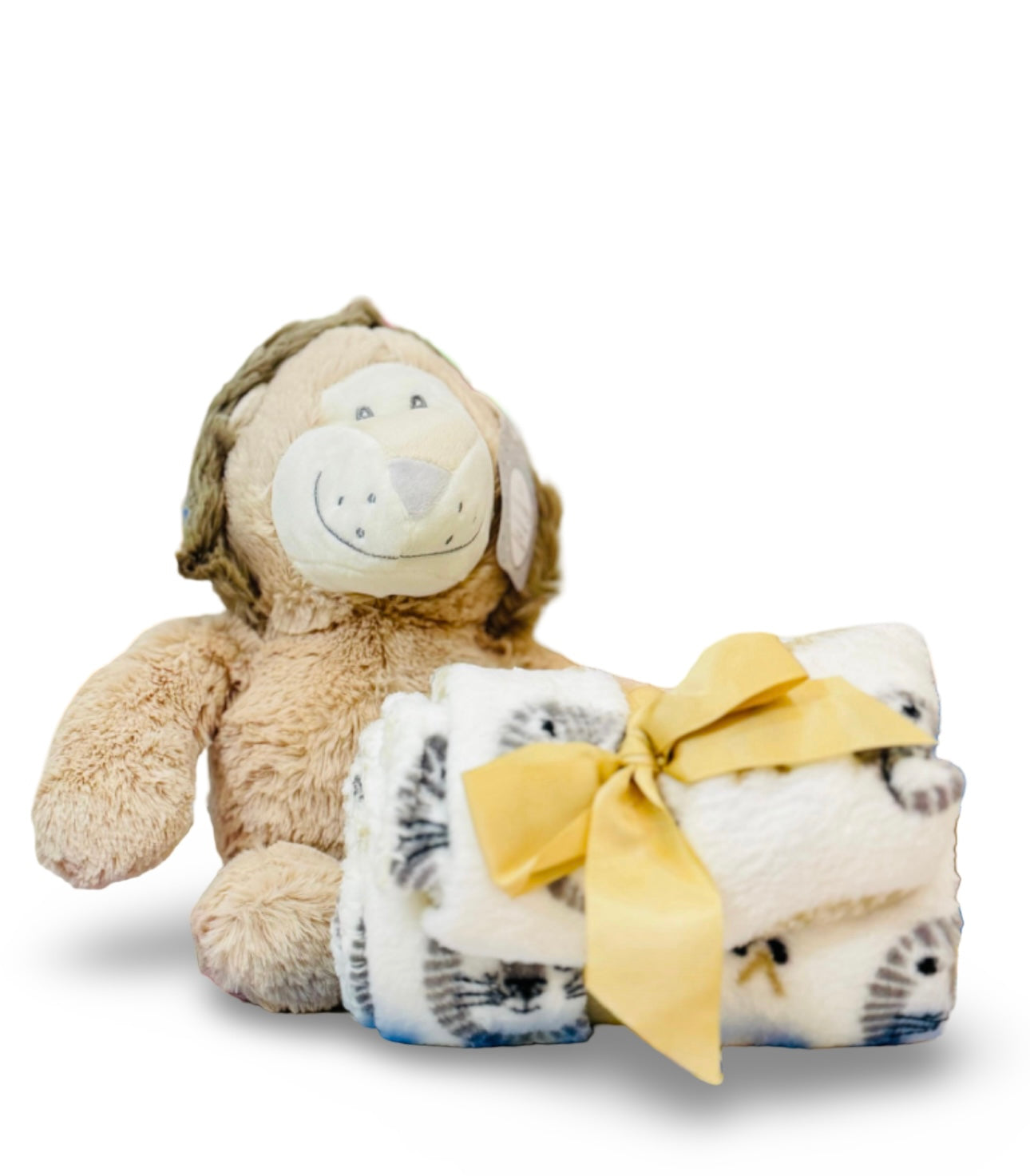 Blanket & Lion Plush Toy - Gift Packaging